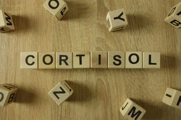 The Hidden Connection: How Stress Shapes Your Fitness and Body Composition 2 Image saying "Cortisol" and how stress Halesowen impacts your wellbeing and bodies shape